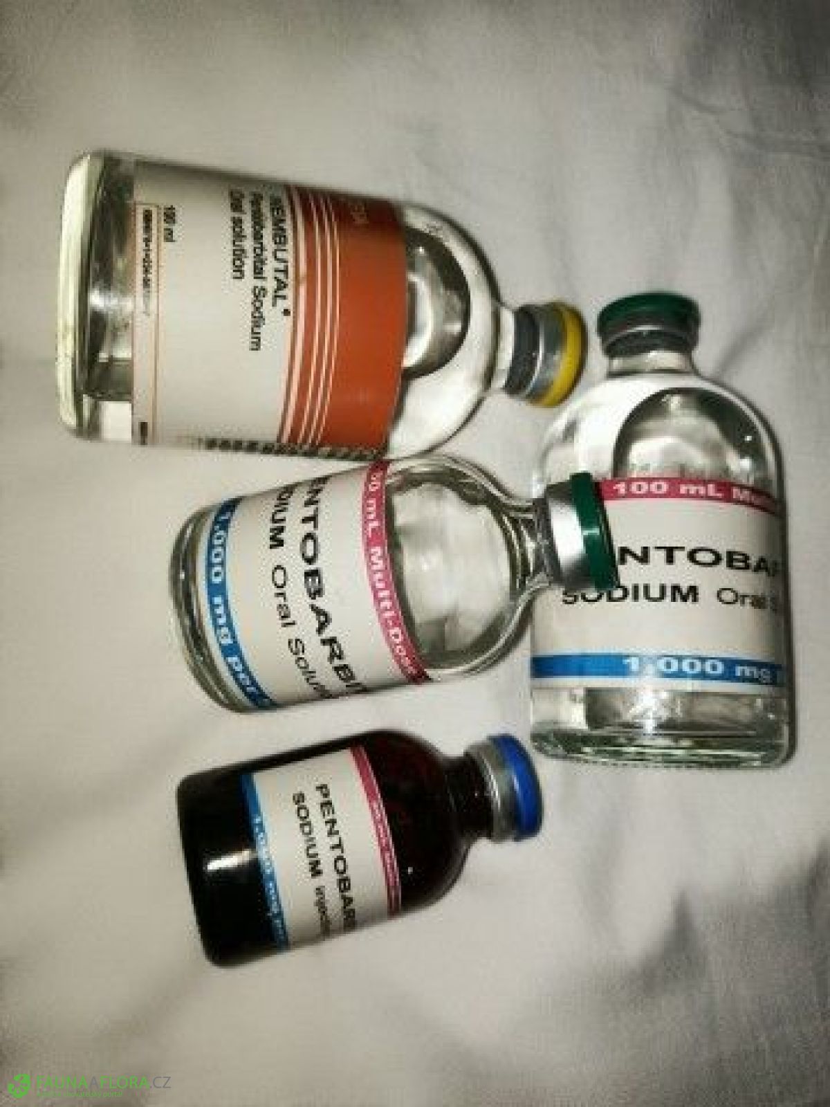 {Telegram @Frink002}Buy Nembutal sodium online,Buy weight loss pills online